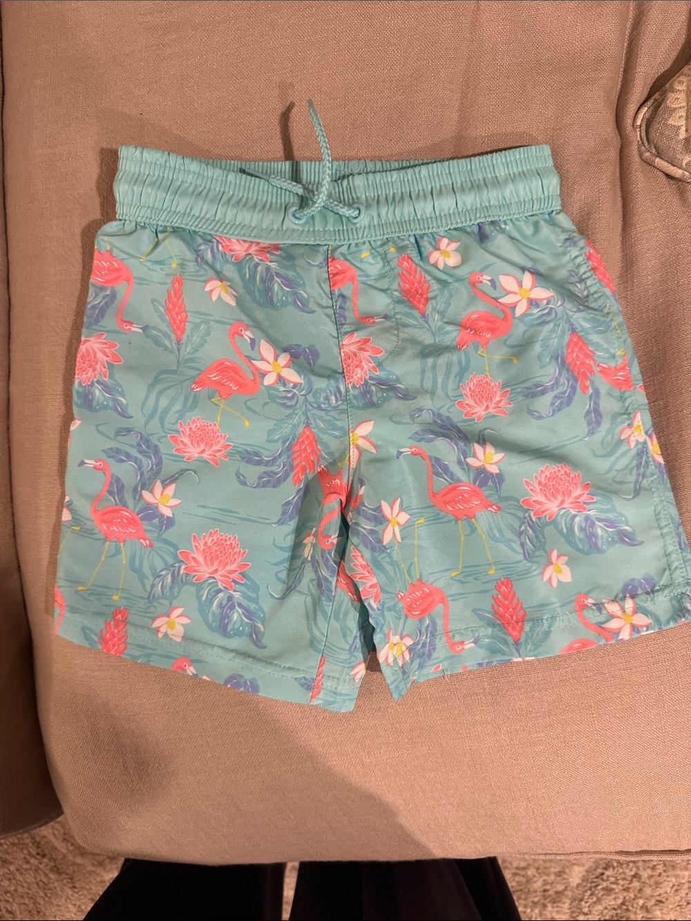Carter's Mint Green Swim Shorts with Pink Flamingo Print